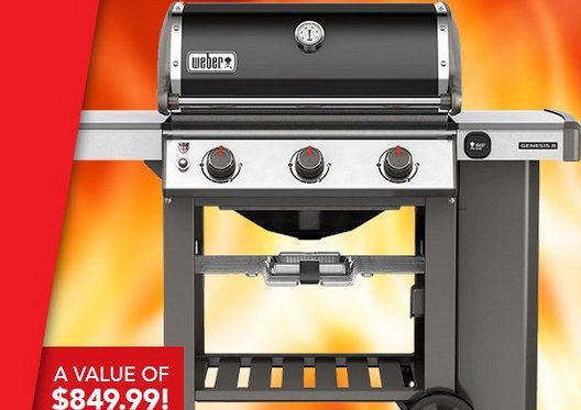 Genesis Grilling Giveaway