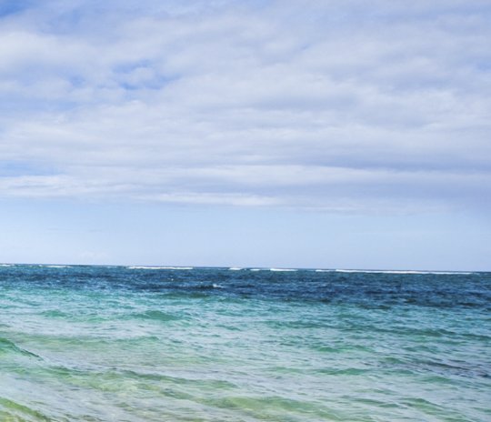 Georgia O'Keeffe Hawaii Sweepstakes