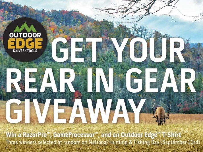 Get Your Rear In Gear Giveaway