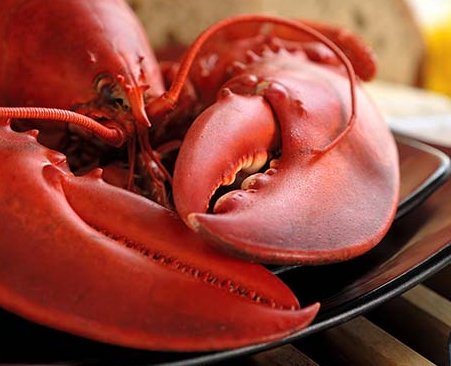 Getmainelobster.com Giveaway