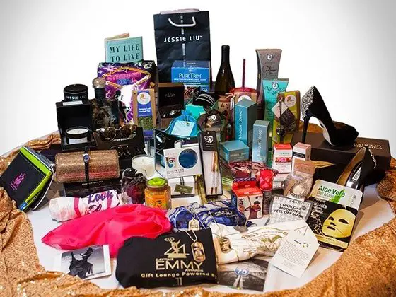 Gift Bag from the 2017 Daytime Emmy Awards Sweepstakes