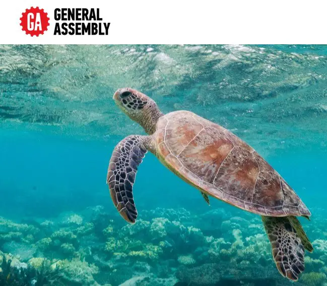 Go Places: Hawaii Sweepstakes