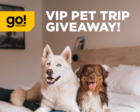 Go Solutions Pet Food VIP Pet Trip Giveaway - Win $10,000 CAD toward a VIP trip with your pet.