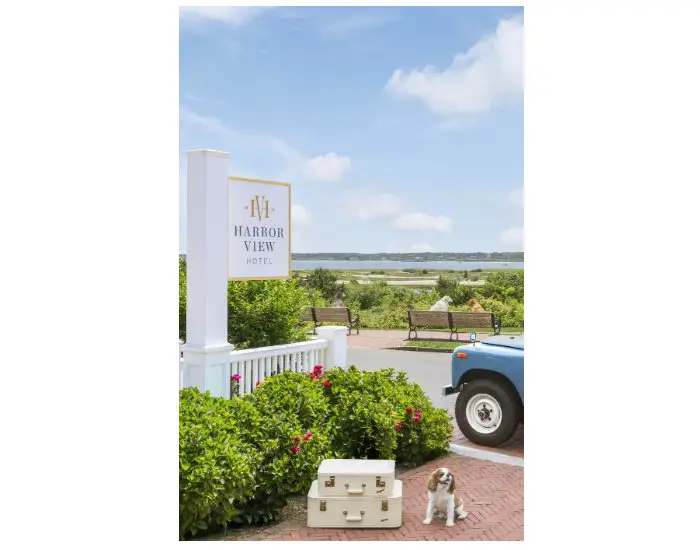 Gray Marlin On Martha's Vineyard Giveaway - Win A Two-Night Stay At Harbor View Hotel & More