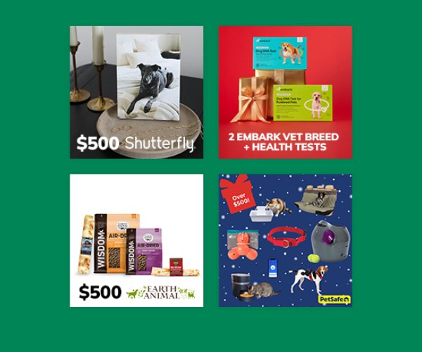 Great Pet Care Peace Love Pups Holiday Giveaway - Win Pet Care Products And More