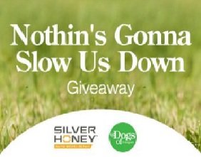 Great Pet's Nothin's Gonna Slow Us Down Giveaway - Win A Dog Camera, Gift Cards and More!