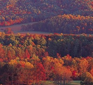 Great Smoky Mountains Getaway