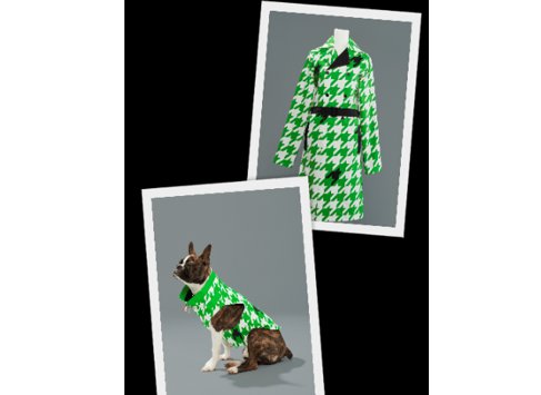 Greenies Houndstoothless Sweepstakes - Win Matching Trench Coats For You & Your Dog