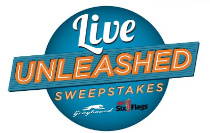 Hashtag Your Way to a Win in the Greyhound Live and Unleashed Sweepstakes