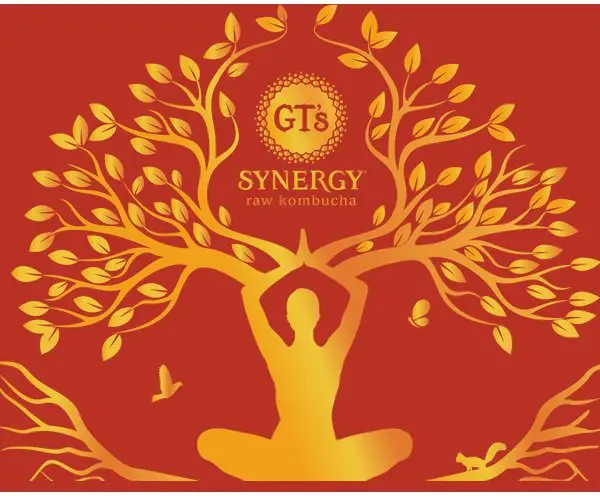 GT's Living Foods Sweepstakes - Win a Year's Supply of Synergy Kombucha