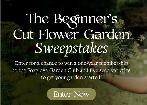Hachette Cut Flower Garden Sweepstakes – Win A 1-Year Membership To The Foxglove Garden Club & More