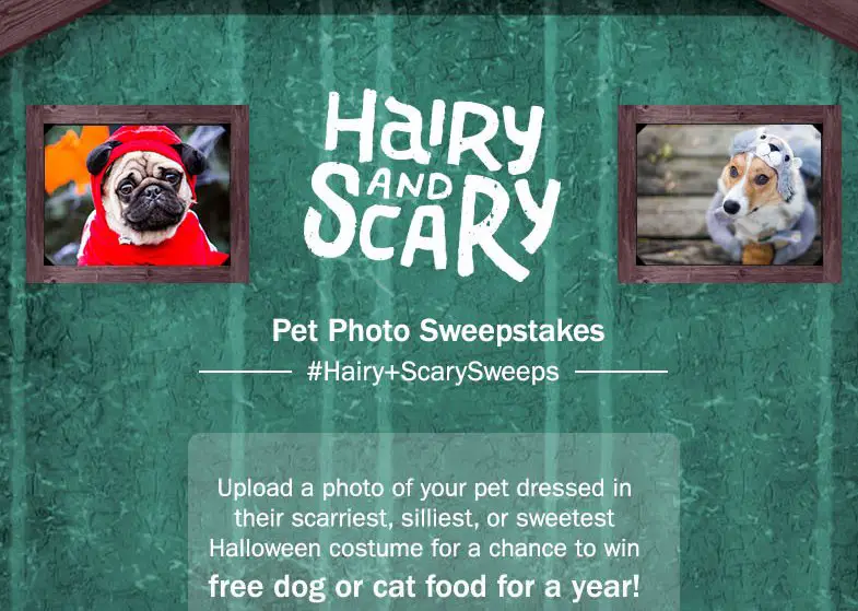 Hairy + Scary Pet Photo Sweepstakes