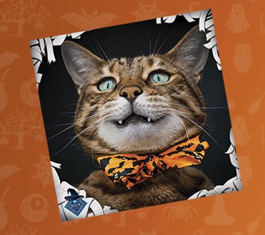 Halloween Costume Contest