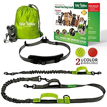 Hands Free Dog Leash Giveaway