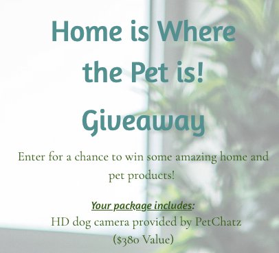 HD Dog Camera Giveaway