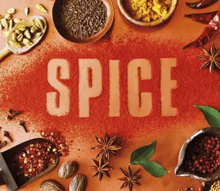 Herbs and Spices Book Bundle