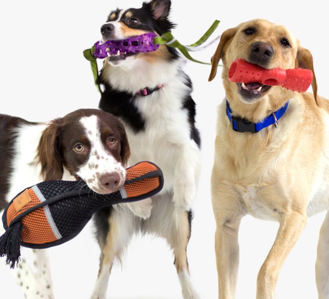 Hero Dog Toys For A Year Sweepstakes