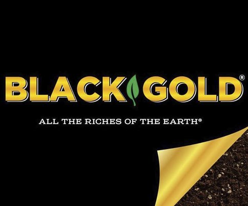 High Mowing Seeds Vegetable Garden Giveaway