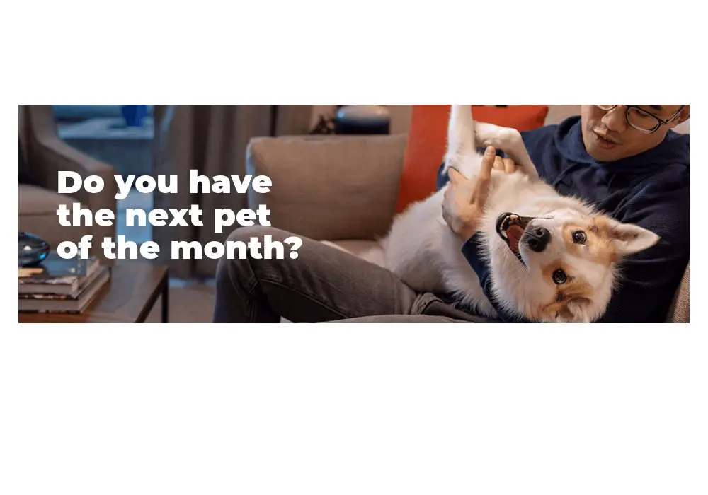 Hill's Pet Nutrition Pet Of The Month Sweepstakes - Win 1 Year Supply Of Pet Food