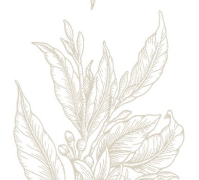 Holiday Coffee Giveaway