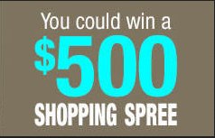 Holiday Shopping Spree Giveaway Sweepstakes