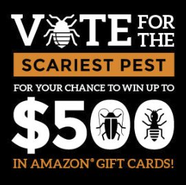 Home Team Halloween Sweepstakes 2018