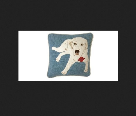 Huger Memories Pet Pillow Giveaway