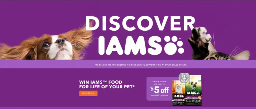 IAMS For Life Sweepstakes - Win Free Pet Food For Life Your Dog & Cat