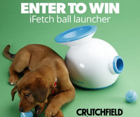 iFetch Great Gear Sweepstakes