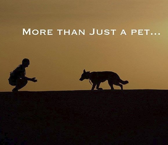 Indestructible Dog Ball Giveaway