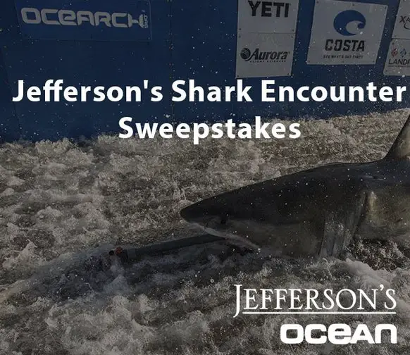 Jefferson's Ocean Shark Encounter Sweepstakes