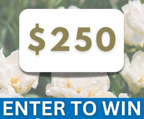 Just A Pinch Pot of Gold Sweepstakes - Win a $250 VISA Gift Card