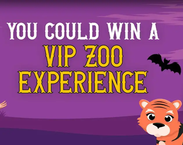 Keebler Spookie Find the Stripes Sweepstakes - Win a VIP Trip for 4 to the Nashville Zoo & More