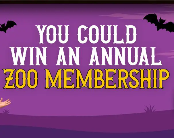 Keebler Spookie Find the Stripes Sweepstakes - Win a 1-year Family Membership to Your Local Zoo