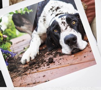 Keep It Real Contest