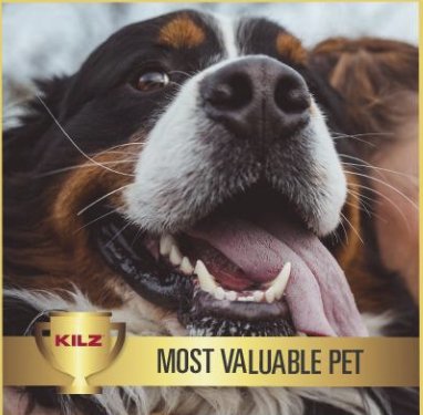 KILZ Most Valuable Pet Sweepstakes