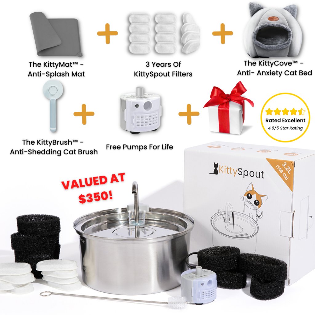 Kittyspout.com Cat Products Giveaway - Win The Purrr-fect Cat Prize Pack