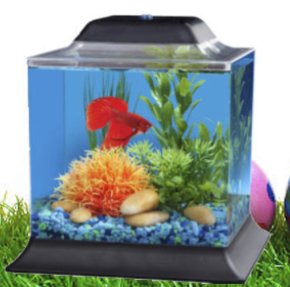 Koller Aquarium Easter Giveaway