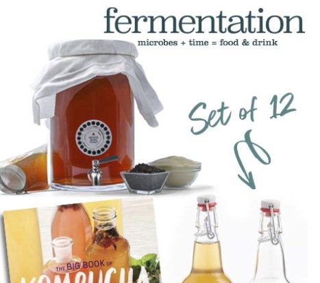 Kombucha Brewing Giveaway