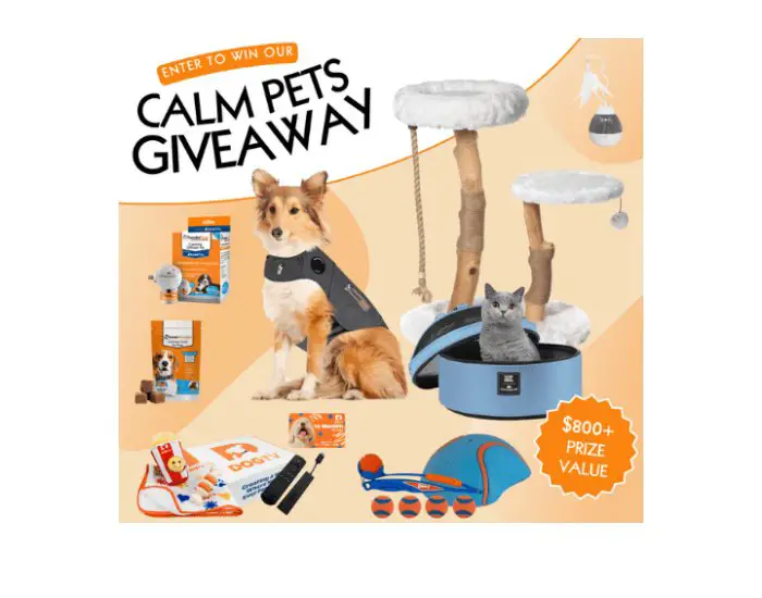 Kristen Levine Pet Living Calm Pets Giveaway - Win Calming Pet Products And More