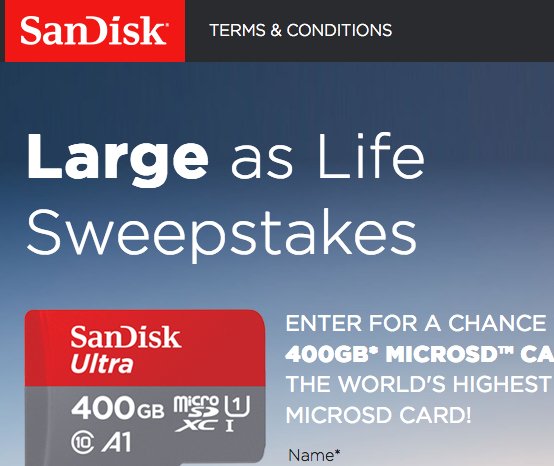Large As Life Sweepstakes