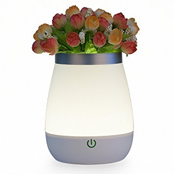 LED Vase Lamp Giveaway