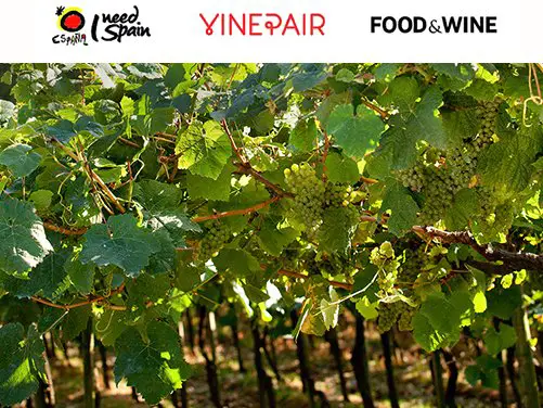 Let's Travel to SPAIN! Enter Now!