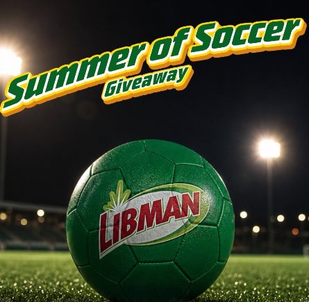 Libman “Summer of Soccer” Instagram Giveaway - Free Cleaning Supplies; 5 Winners