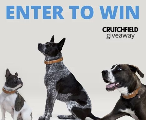Link AKC Great Gear Sweepstakes