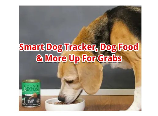 Link My Pet ULTIMUTT Spring Giveaway –  Smart Dog Tracker, Gift Card, Dog Food & More Up For Grabs