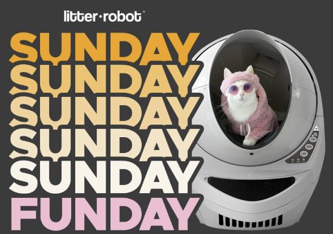 Litter-Robot March Giveaway