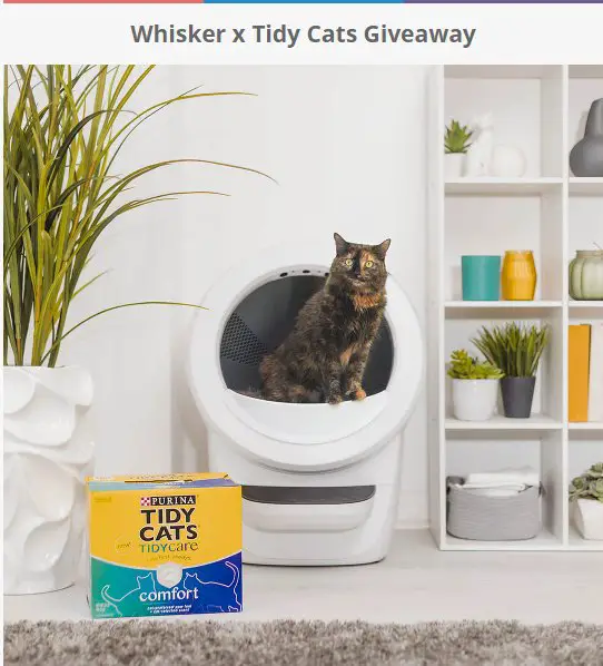 Litter Robot X Tidy Cats Sweepstakes – Win A Litter Robot & A Year Supply Of Tidy Cats (10 Winners)