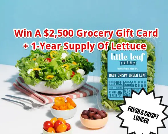 Little Leaf Farms Lettuce Confessions Sweepstakes - Win A $2,500 Grocery Gift Card + 1-Year Supply Of Lettuce
