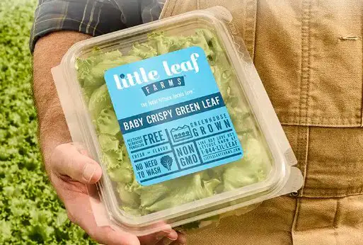 Little Leaf Farms Most Loved Lettuce Sweepstakes